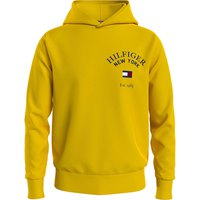 tommy-hilfiger-arched-varsity-hoodie