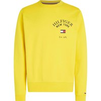 tommy-hilfiger-arched-varsity-sweatshirt