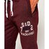 Superdry Trackster Non Cuffed Pants