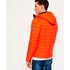 Superdry Hooded Box Quilt Fuji