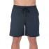 Hurley Short De Bain One & Only Volley 2.0
