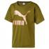 Puma T-Shirt Manche Courte Evo Graphic