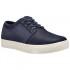 Timberland Dauset Oxford Trainers
