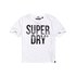 Superdry Pacific Pieced Short Sleeve T-Shirt
