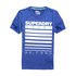 Superdry Athletic Graphic Short Sleeve T-Shirt