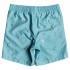 Dc shoes All Season Volley Jugend 14.5´´ Badehose