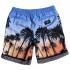 Quiksilver Sunset Vibes Volley 15´´ Swimming Shorts