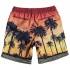 Quiksilver Sunset Vibes Volley 15´´ Swimming Shorts