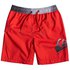 Quiksilver Critical Volley 15´´ Zwemshorts