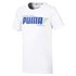 Puma Alpha Graphic kortarmet t-skjorte