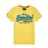 Superdry Vintage Logo Fade Mid Weight Short Sleeve T-Shirt