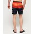 Superdry Photographic Volley Swimming Shorts