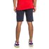 Dc shoes Simmons Shorts