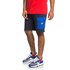 Dc shoes Simmons Shorts