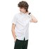Lacoste Regular Fit Texturized Poplin Short Sleeve Shirt