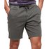 Superdry Sunscorched shorts