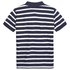 Tommy hilfiger Small Stripe Short Sleeve Polo Shirt