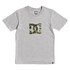 Dc Shoes Star 2