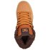 Dc shoes Pure High Top WC WNT Trainers