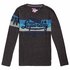 Superdry Limited Icarus Colours Blend Long Sleeve T-Shirt