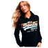 Superdry Vintage Logo Rainbow Stripe Sweatshirt Met Capuchon
