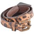 Dolce & gabbana Cinturón Estampado Leopardo Mujer