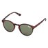 Superdry Freida Sunglasses