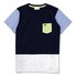 Lacoste Cotton Colourblock Kurzarm T-Shirt