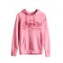 Superdry Sweat à Capuche Vintage Logo Embroidered Infill Loopback