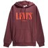 Levi´s® T2 Relaxed Graphic Hoodie
