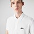 Lacoste X National Geographic Regular Fit Short Sleeve Polo Shirt