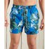 Superdry Super 5s Beach Volley Swimming Shorts