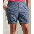 Superdry Sunscorched chinoshorts