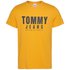 Tommy jeans Center Chest Graphic short sleeve T-shirt