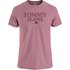 Tommy Jeans Tonal Entry Graphic T-shirt med korte ærmer